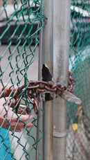 Affinity Scooter Tool